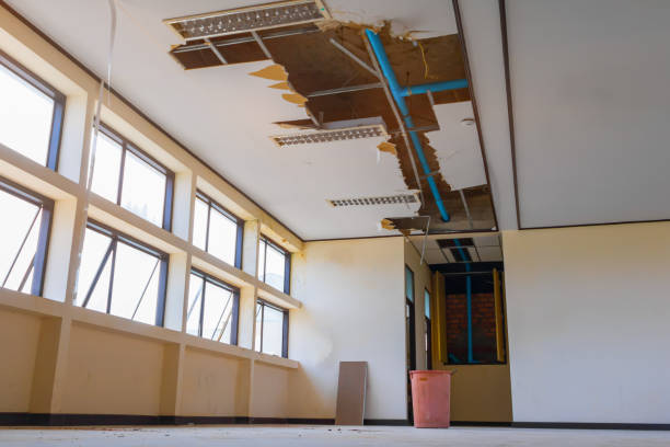 Best Water damage cleanup near me  in French Island, WI