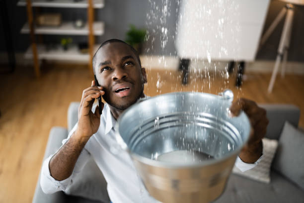 Best Water damage cleanup near me  in French Island, WI