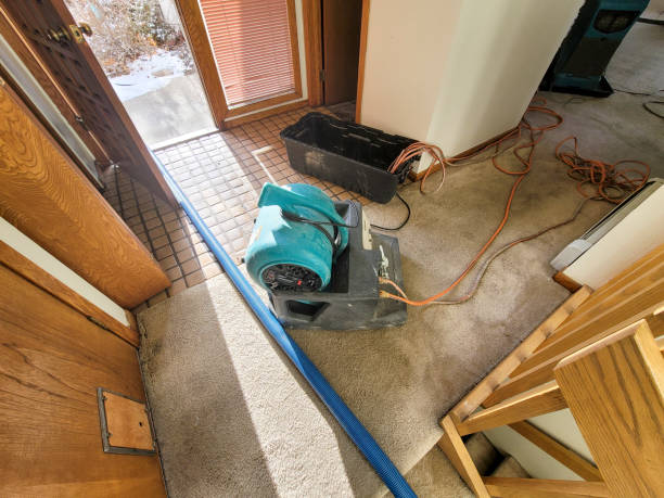 Best Water damage restoration near me  in French Island, WI