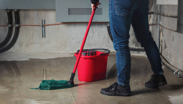 Best Sewage cleanup and water damage restoration  in French Island, WI