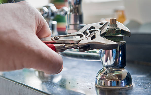 Best Carpet water damage restoration  in French Island, WI