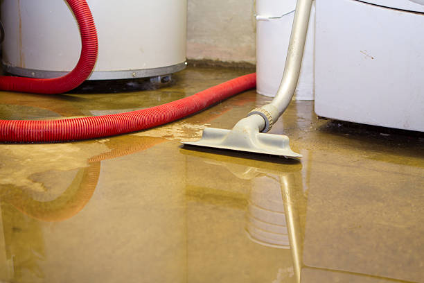 Best Fire Damage Restoration  in French Island, WI
